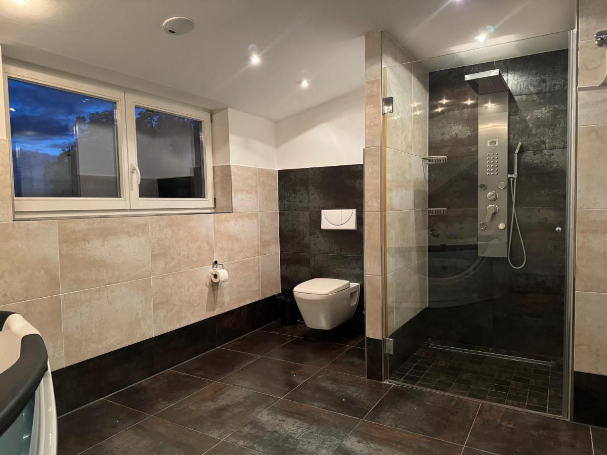 205 Qm "Traumtor" Mit Sauna, Whirlpool, Kamin Und 3 Terrassen Mit Blick In Die Boehmisch Saechsische Schweiz Δρέσδη Εξωτερικό φωτογραφία