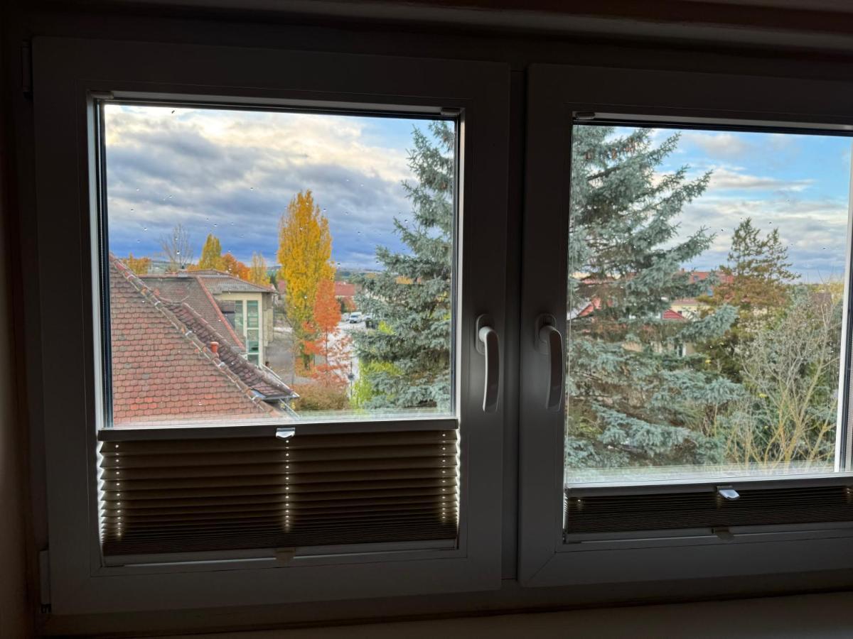 205 Qm "Traumtor" Mit Sauna, Whirlpool, Kamin Und 3 Terrassen Mit Blick In Die Boehmisch Saechsische Schweiz Δρέσδη Εξωτερικό φωτογραφία